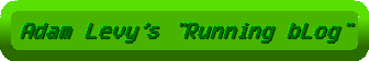 runningloglogo.gif
